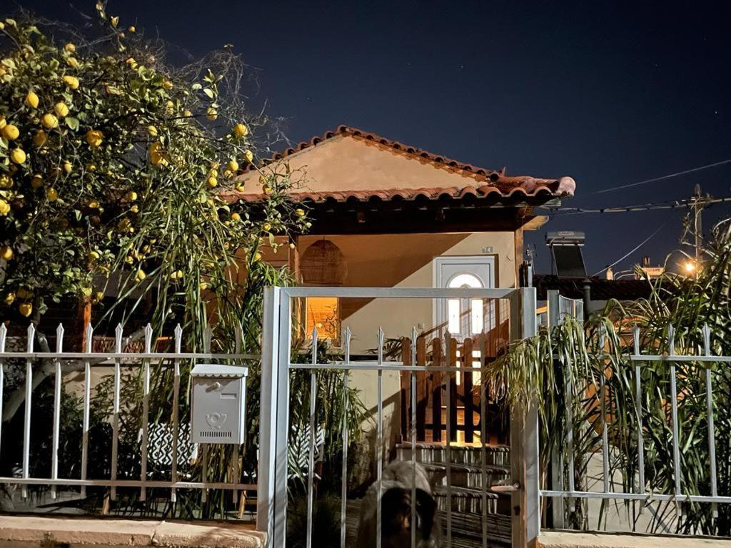 Agapi Home Agios Spyridon  Extérieur photo